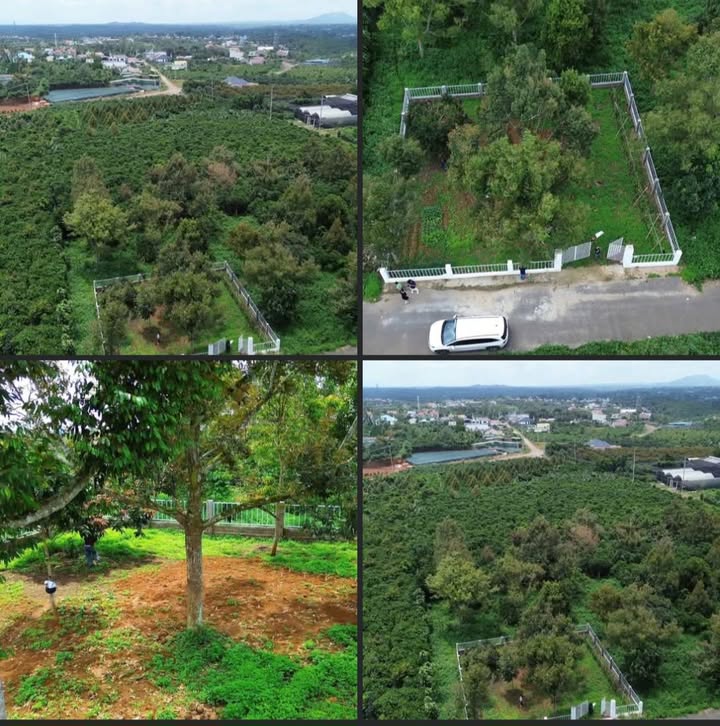 Đất Lộc Nga, Bảo Lộc 437m² giá 2.79 tỷ - Đầu tư sinh lời hấp dẫn!