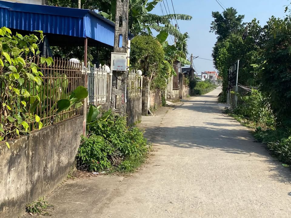 Đất thổ cư mặt tiền 5m tại Thái Dương, Bình Giang - Chỉ 1 tỷ, bán gấp!