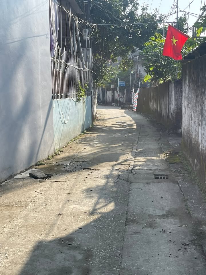 Đất nền xã Liên Lộc, Hậu Lộc 146m² giá 800 triệu - Cơ hội đầu tư tuyệt vời!