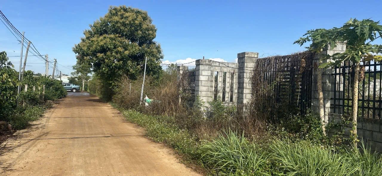 Đất nền hẻm Nguyễn Tuân, Pleiku 300m² giá 1.39 tỷ - Sẵn sàng xây dựng!