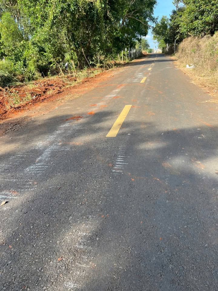 Đất nền mặt tiền đường 110, Long Phước, Bà Rịa - 302m² chỉ 2.2 tỷ - Đầu tư sinh lời!