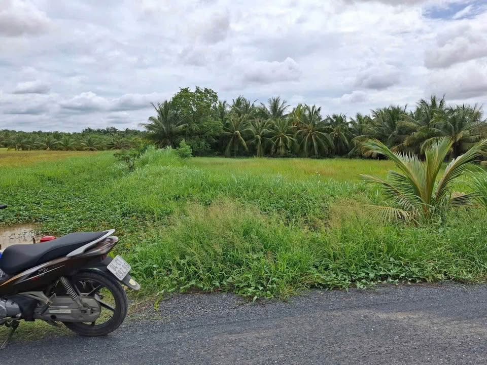 Đất nền Long Đức Trà Vinh 1390m² giá 1.5 tỷ - Đầu tư sinh lời ngay!