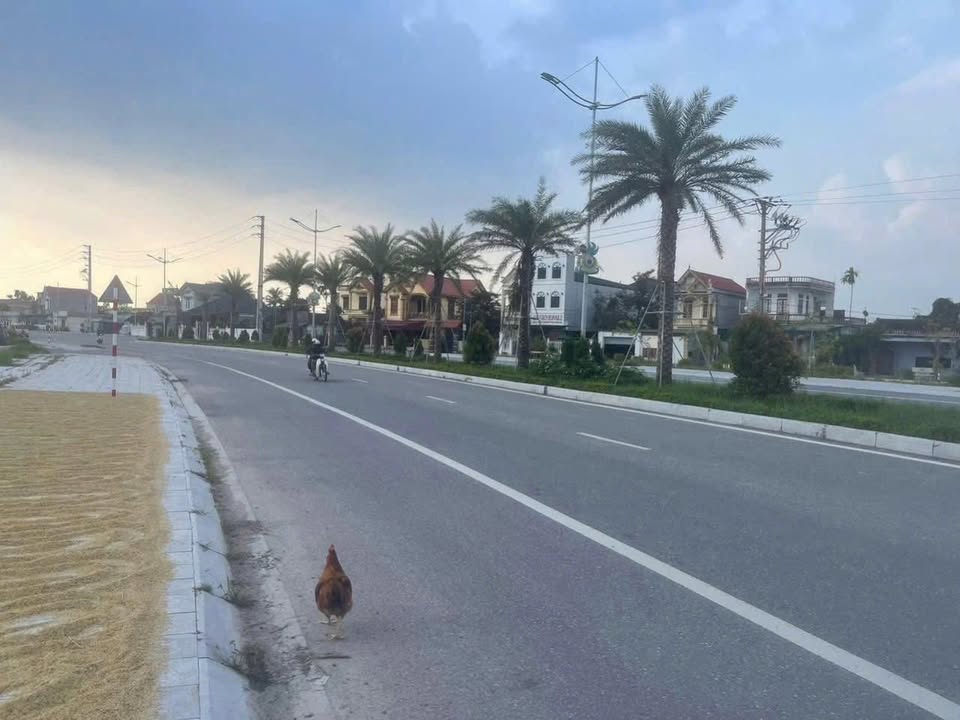 Đất nền Hoằng Thịnh 127m² giá 3.1 tỷ - Kinh doanh sầm uất ngay trục chính!