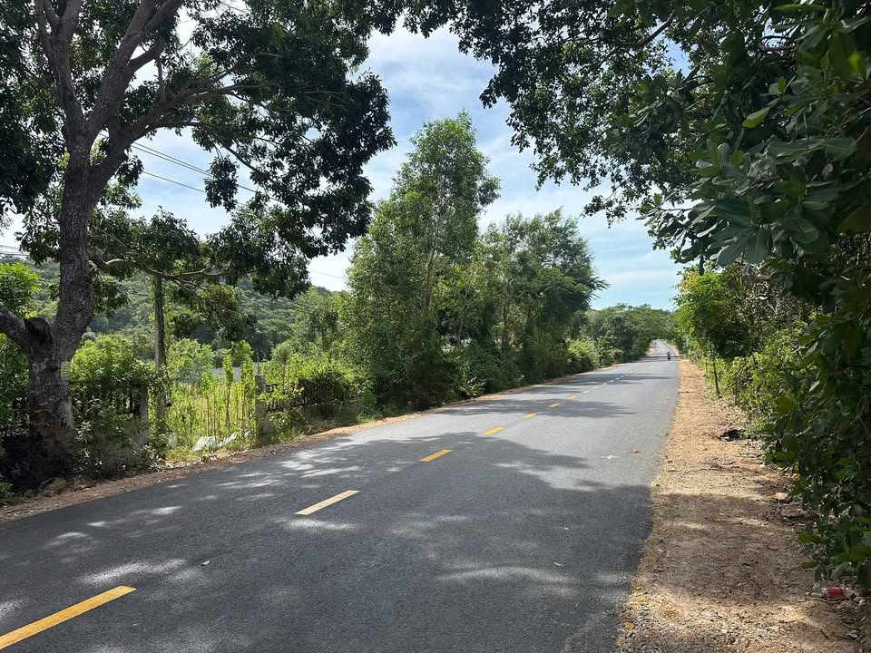 Bán nhà vườn tại phường Mũi Né, 4000m² giá 17 tỷ - Đầu tư sinh lời tuyệt vời!