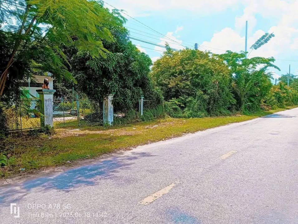 Đất thổ cư 1.9ha tại xã An Cư, Tịnh Biên - Giá 8.3 tỷ, vị trí đắc địa!