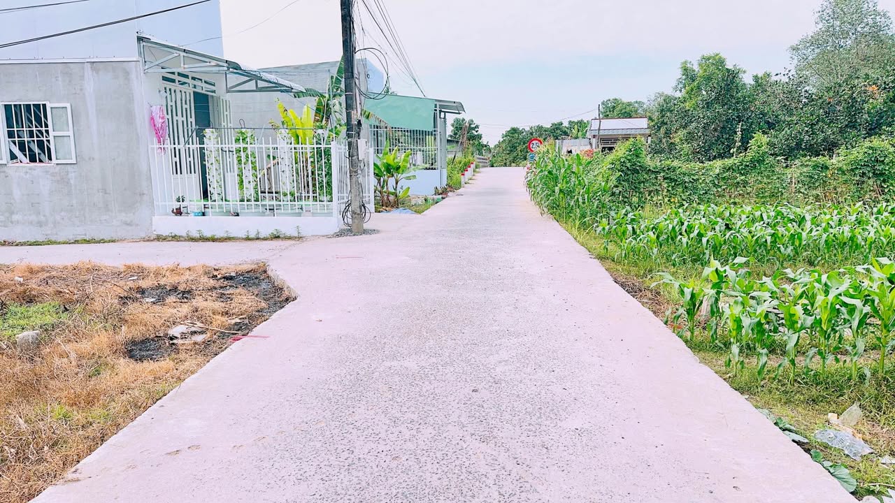 Đất nền Mương Điều - Nhơn Ái, Phong Điền, Cần Thơ 86m² giá 490 triệu - Xây nhà ngay!