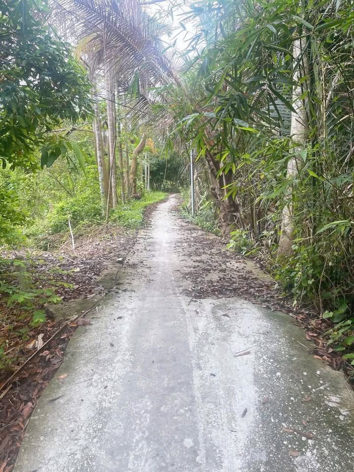 Đất nền An Bình, Phong Điền 102m² chỉ 520 triệu - Cơ hội đầu tư hấp dẫn!