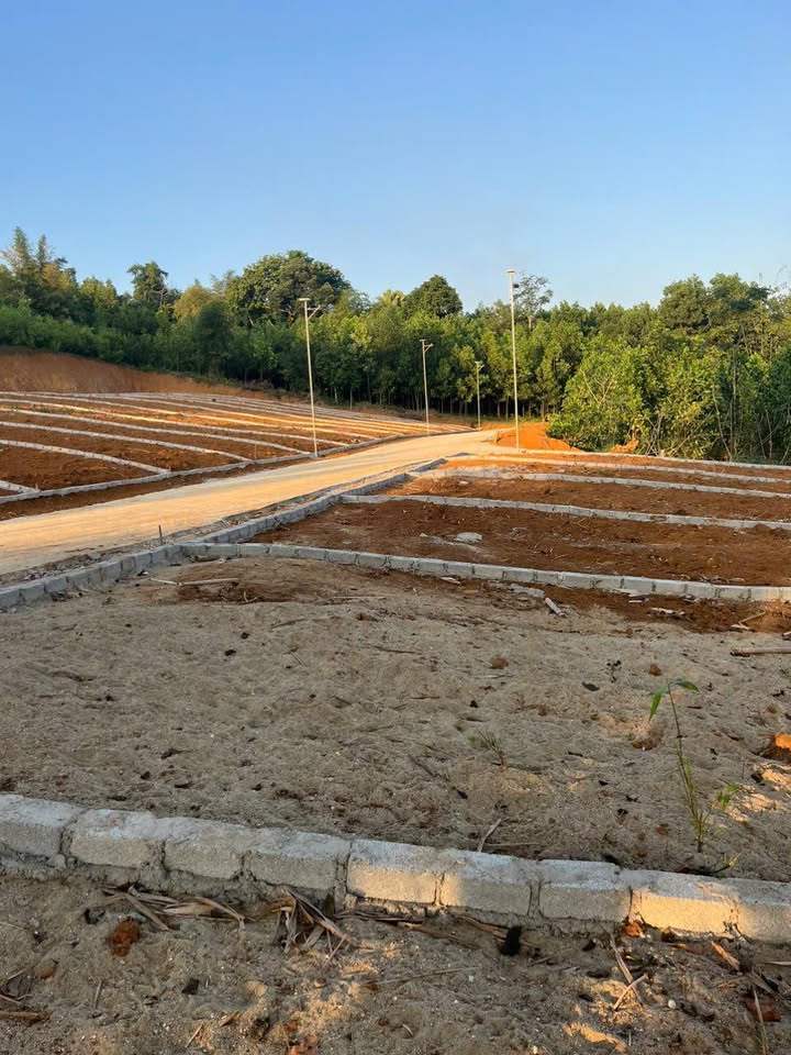 Đất nền xã Quang Trung, Ngọc Lặc, 140m² - Giá chỉ bằng 1 chỉ vàng/lô!