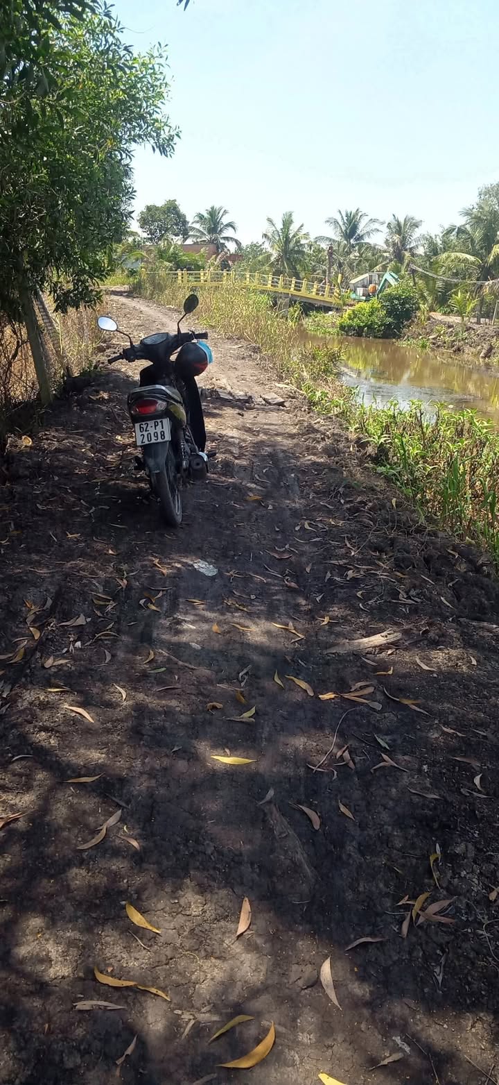 Đất vườn 4800m² xã Thạnh Lợi, Tây Ninh giá 2.65 tỷ - Đầu tư sinh lời ngay!