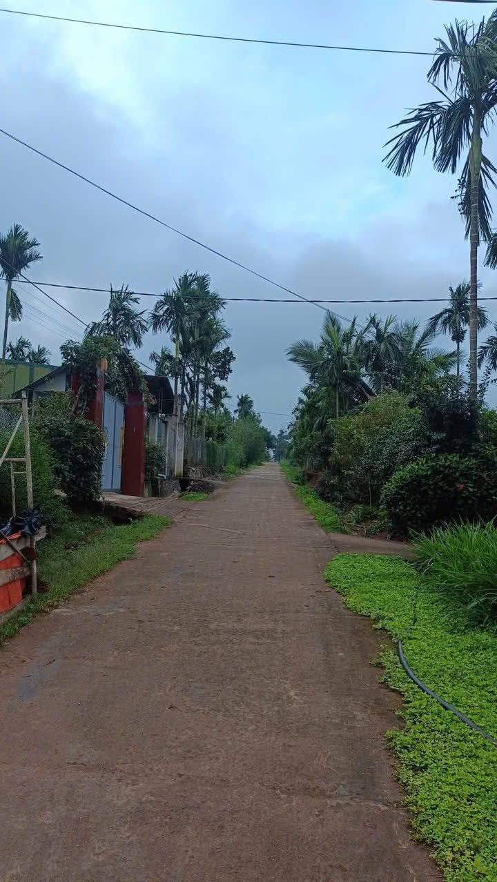 Đất thổ cư Phú Xuân 470m² giá 800 triệu - Sổ đỏ chính chủ, mặt đường bê tông!