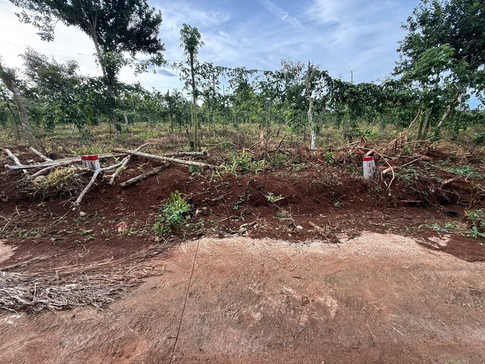 Đất nền Cư Bao, Đắk Lắk 150m² giá 399 triệu - Cơ hội đầu tư tốt!