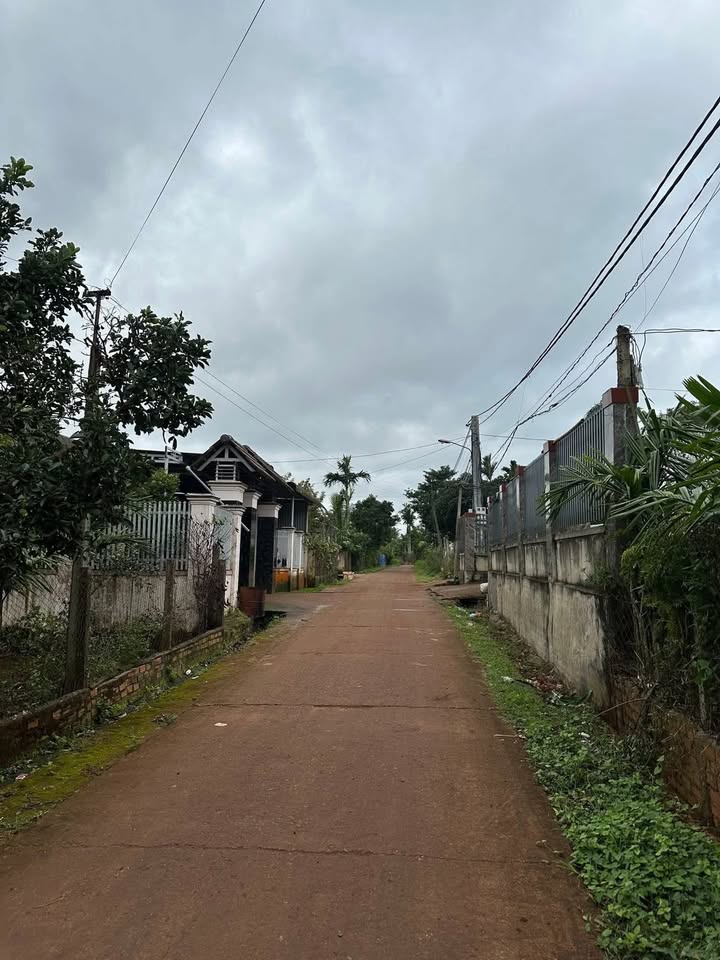 Đất nền Pơng Drang 625m² giá 2 tỷ - Cơ hội đầu tư hấp dẫn!