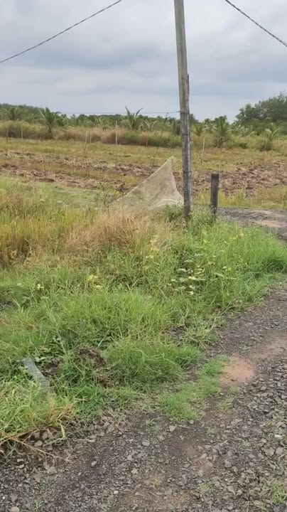 Đất nền Trà Vong, Tân Biên 1010m² giá 240 triệu - Đường xe du lịch tới nơi!