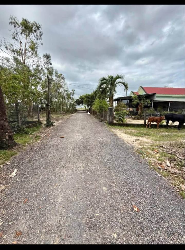 Đất Cát Hanh - Phù Cát 200m² giá 200 triệu - Cơ hội đầu tư tuyệt vời!