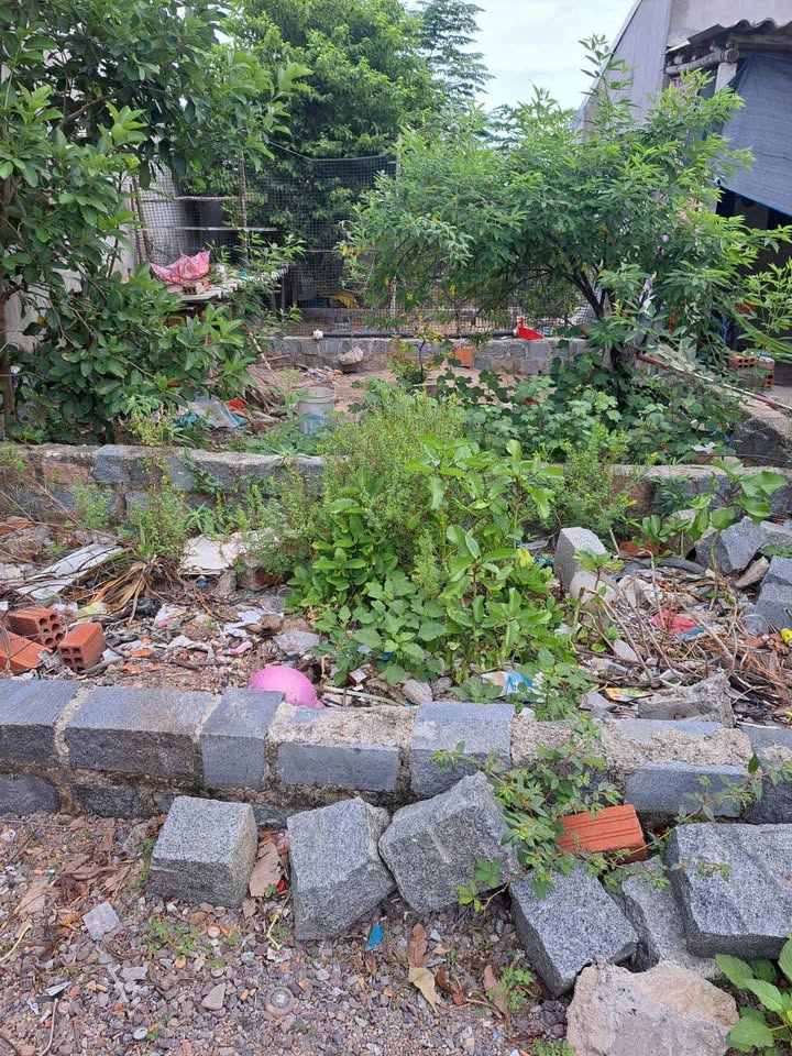 Đất nền Phước An, Tuy Phước 100m² giá chỉ 190 triệu - Sổ tay, gần công ty Hoàng Giang!