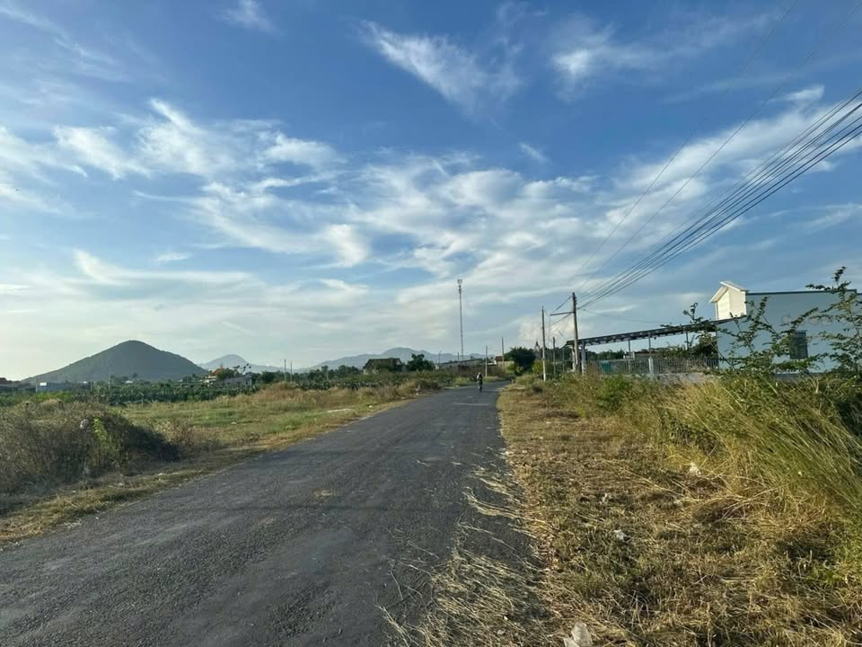 Đất thổ cư mặt tiền Đinh Công Tráng 120m² giá chỉ 750 triệu - Cơ hội đầu tư hấp dẫn!