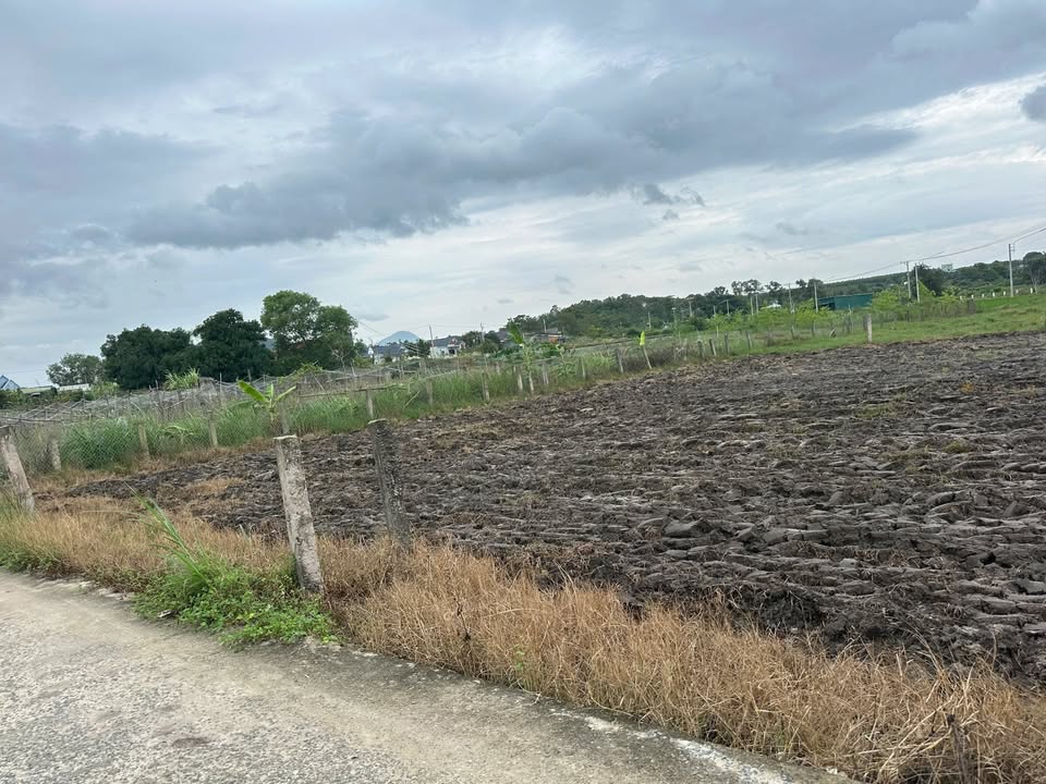 Đất thổ cư 183,8m² Tân Tiến, LaGi chỉ 650 triệu - Cơ hội vàng đầu tư!