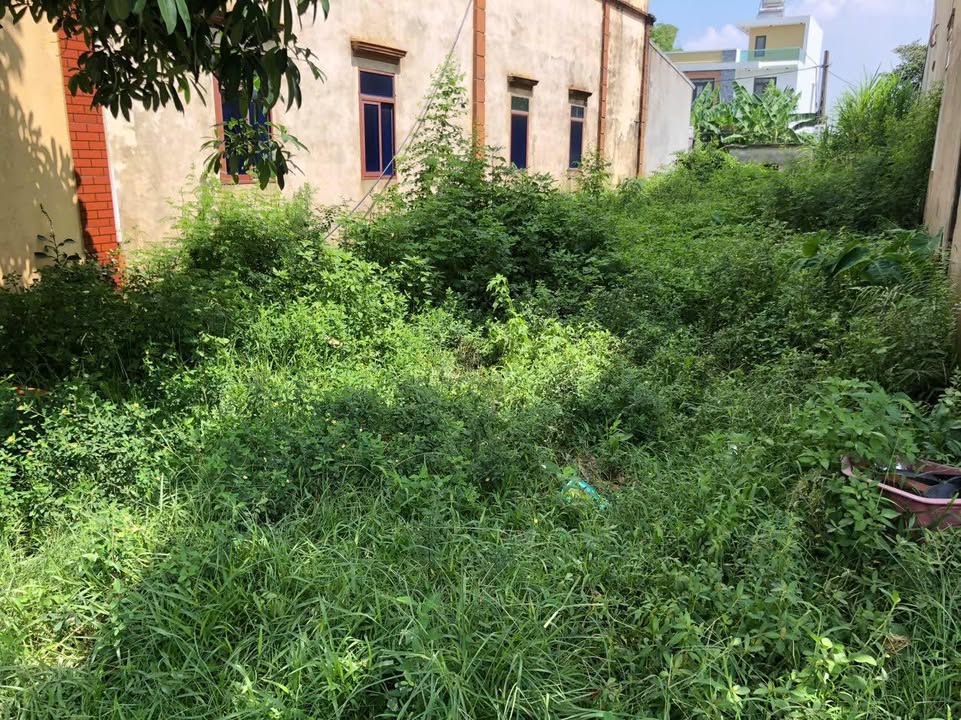 Đất nền mặt tiền tỉnh lộ 281, Phú Hòa, 100m² giá 3 tỷ - Kinh doanh thuận lợi!