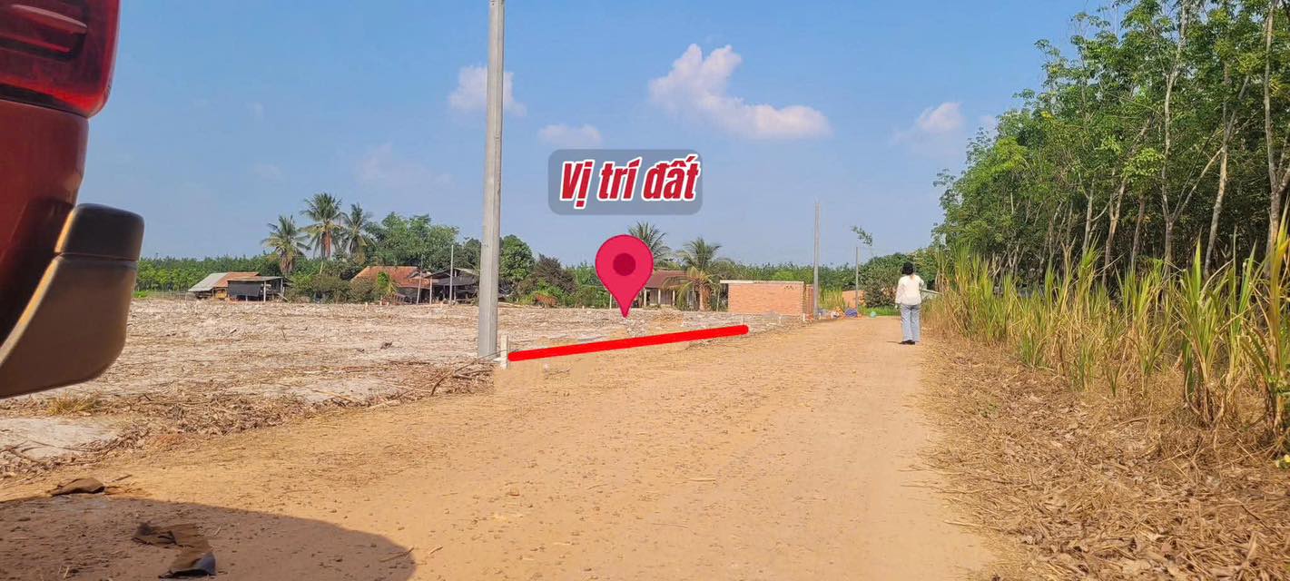 Đất thổ cư 1000m² tại Tân Phong, Tây Ninh giá chỉ 350 triệu - Vườn rộng, ở ngay!