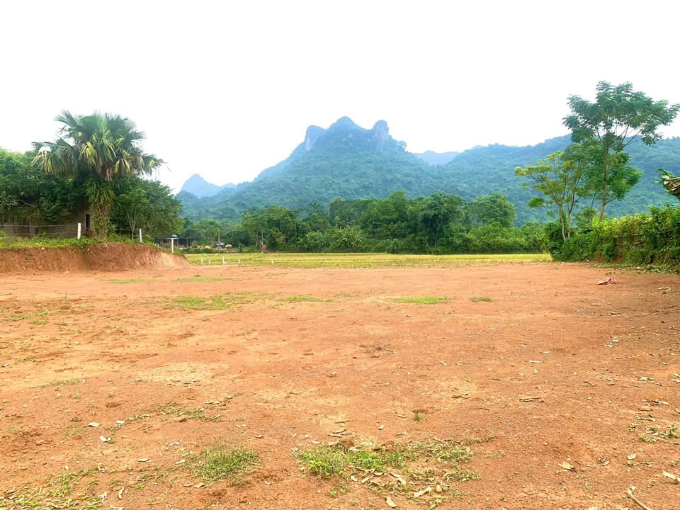 Đất nền Bắc Phong, Cao Phong 3.684m² giá chỉ 3.684 triệu - Tiềm năng phát triển vượt bậc!