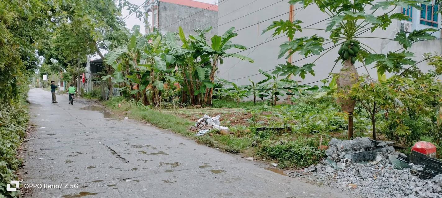 Đất nền Quỳnh Sơn 101m² giá 3 tỷ - Vị trí kinh doanh đắc địa!