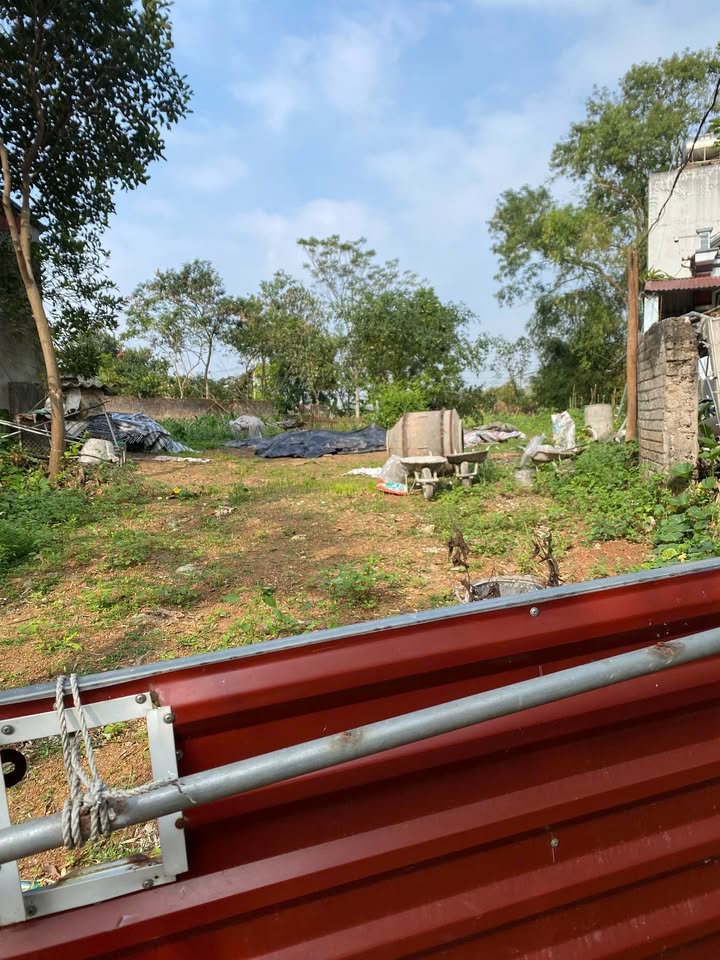 Đất thổ cư Tân Hưng Lạng Giang 1000m² giá 4.9 tỷ - Sổ hồng chính chủ sẵn sàng giao dịch!