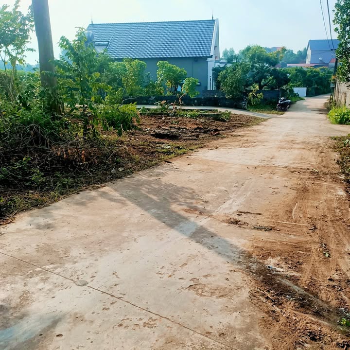 Đất nền Lan Mẫu Lục Nam 110m² giá chỉ 900 triệu - Vị trí đắc địa, dân cư đông đúc!