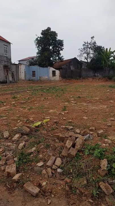 Đất nền Hoàng Vân, Bắc Giang 200m² giá 500 triệu - Cơ hội đầu tư hấp dẫn!