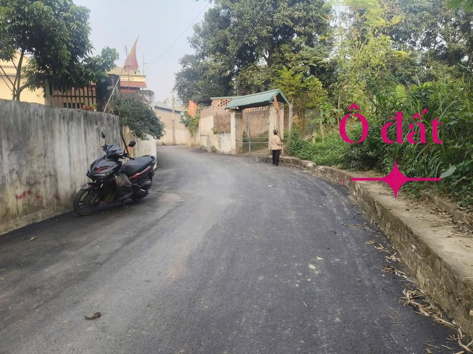 Đất thổ cư 418m² tại Tam Dương, Vĩnh Phúc - Sổ đỏ chính chủ, giá 1.6 tỷ!