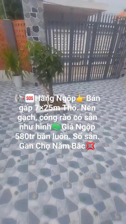 Đất thổ cư Phú Ngãi Trị 172m² giá 580 triệu - Sổ hồng chính chủ, không mồ mả!