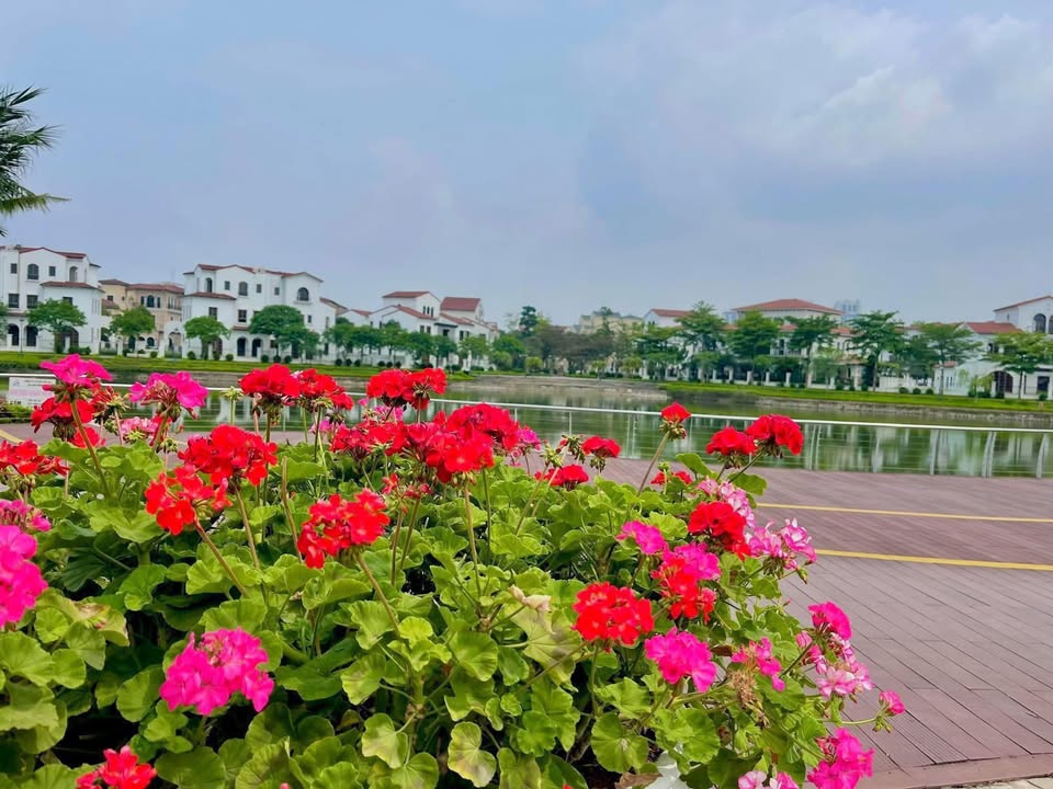 Townhouse Vinhomes Thăng Long 92m² giá từ 21 tỷ - Đầu tư sinh lời hấp dẫn!