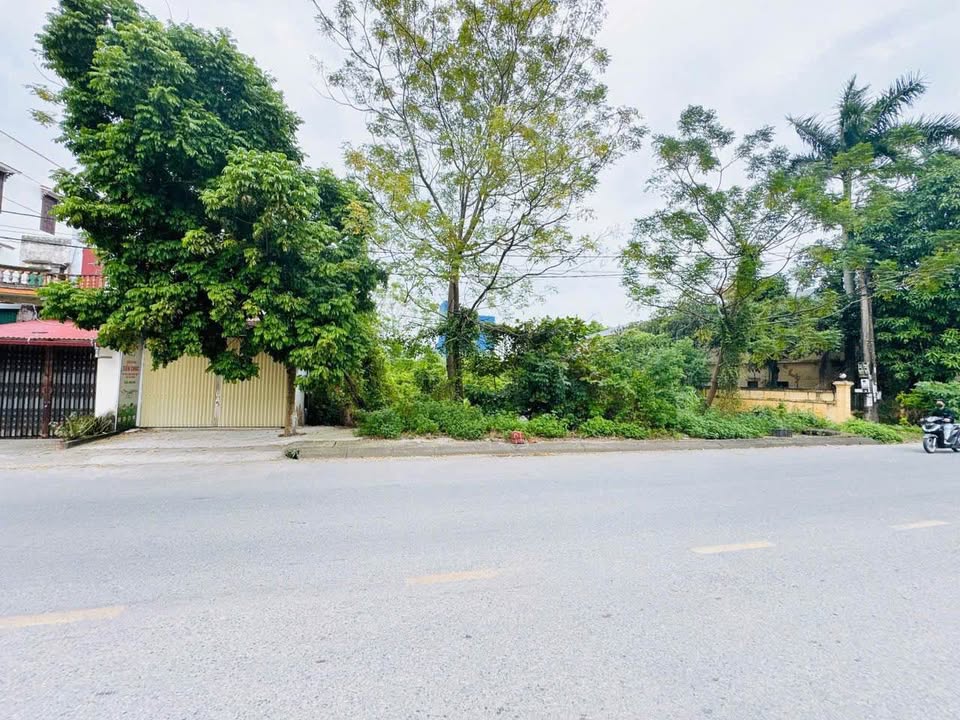 Bán đất liền kề tại Khu Táo Đôi, Thị trấn Thứa, 103m² - Tiềm năng đầu tư lớn!