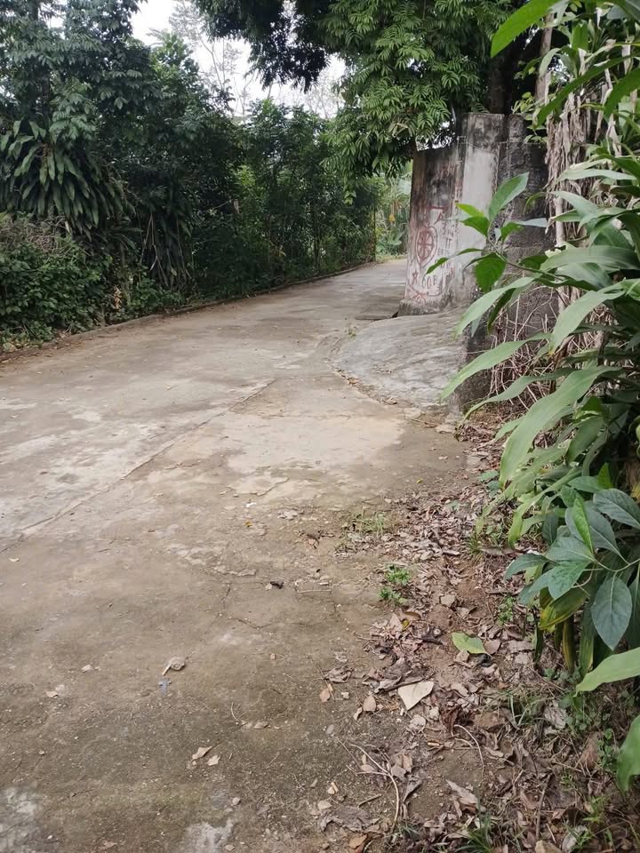 Đất đẹp khu Liên Minh, Minh Phương 148.5m² giá 2.4 tỷ - Đầu tư sinh lời cao!