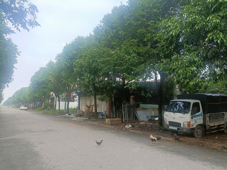 Đất Nền 100m² Tại Bến Cát Giá 1.5 Tỷ - Sổ Đỏ Chính Chủ