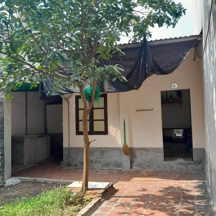 Nhà nguyên căn 80m² tại An Khánh, Hoài Đức - Giá thuê chỉ 3 triệu/tháng!