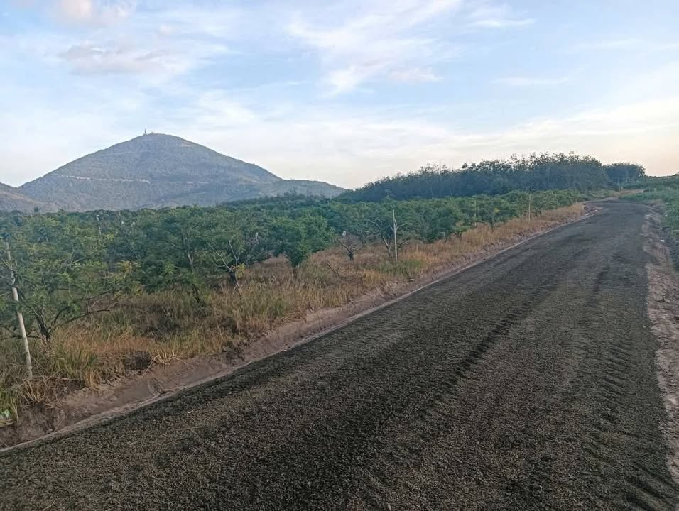 Đất nền khu phố Thạnh Rung, Bình Minh, Tây Ninh 1000m² - Cơ hội vàng đầu tư!