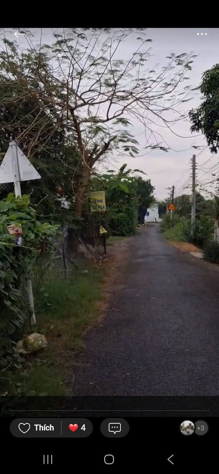 Đất nền ấp Thanh Ba, Cần Giuộc 120m² giá 1.3 tỷ - Cơ hội đầu tư tốt!