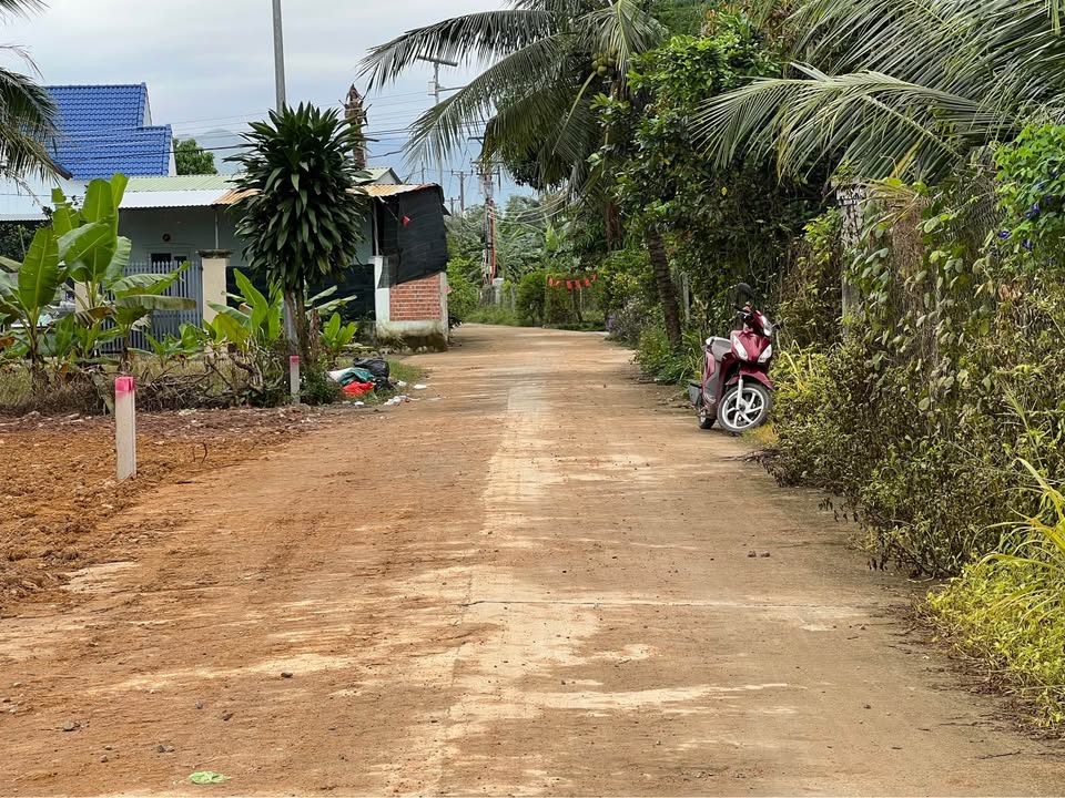 Đất nền Suối Cát 100m² giá chỉ 630 triệu - Tiện ích đầy đủ, đầu tư sinh lời!