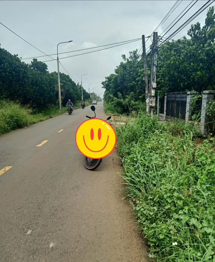 Đất mặt tiền đường Mattin - Võ Dõng, Gia Kiệm 3600m² giá 950 triệu - Đầu tư sinh lời ngay!