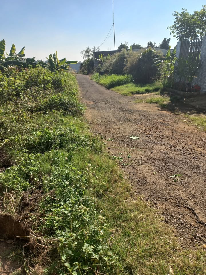 Đất nền hẻm 34b Trần Nhật Duật, Bảo Lộc 179.4m² giá chỉ 1.4 tỷ - Cơ hội đầu tư tuyệt vời!