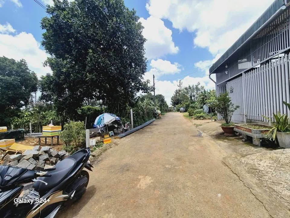 Đất nền Bảo Lộc 903m² giá 12 tỷ - Cơ hội đầu tư hấp dẫn!