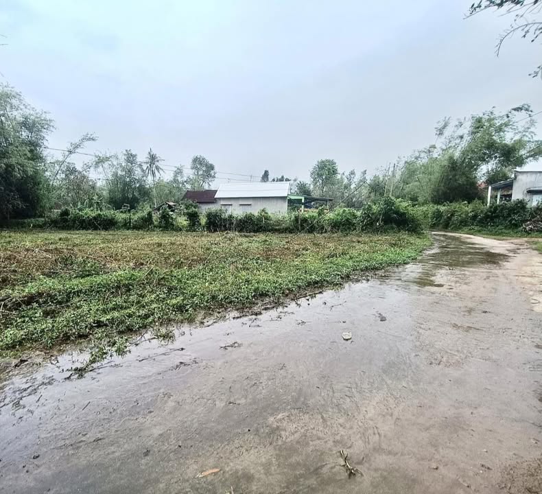 Đất nền Mỹ Quang, Phù Mỹ 110m² giá 150 triệu - Đường ô tô thoải mái!