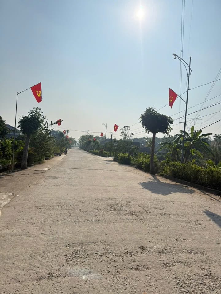 Đất nền Tân Sơn 253m² giá hợp lý - Đầu tư sinh lời ngay!