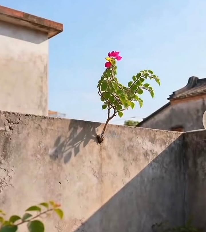 Nhà 3 tầng kiệt ô tô Kiệt 40 Hàm Nghi 40m² giá 4 tỷ - Đầu tư sinh lời thuận lợi!