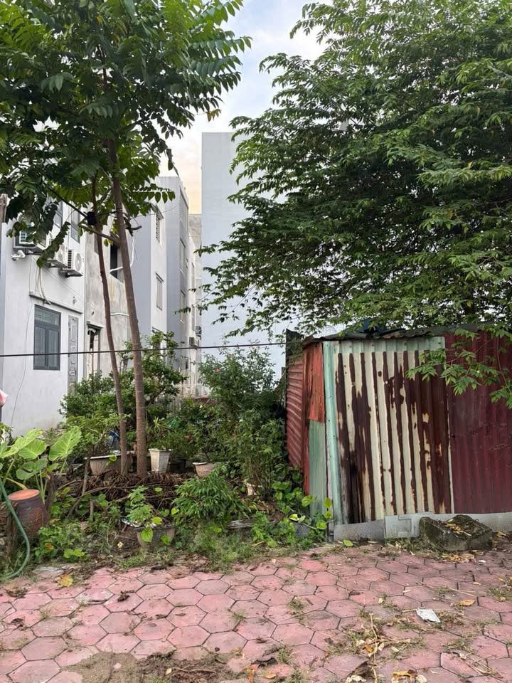 Đất nền chính chủ tại Phường Nhị Châu, Hải Dương 101m² giá 5.3 tỷ - Hướng Nam lý tưởng!