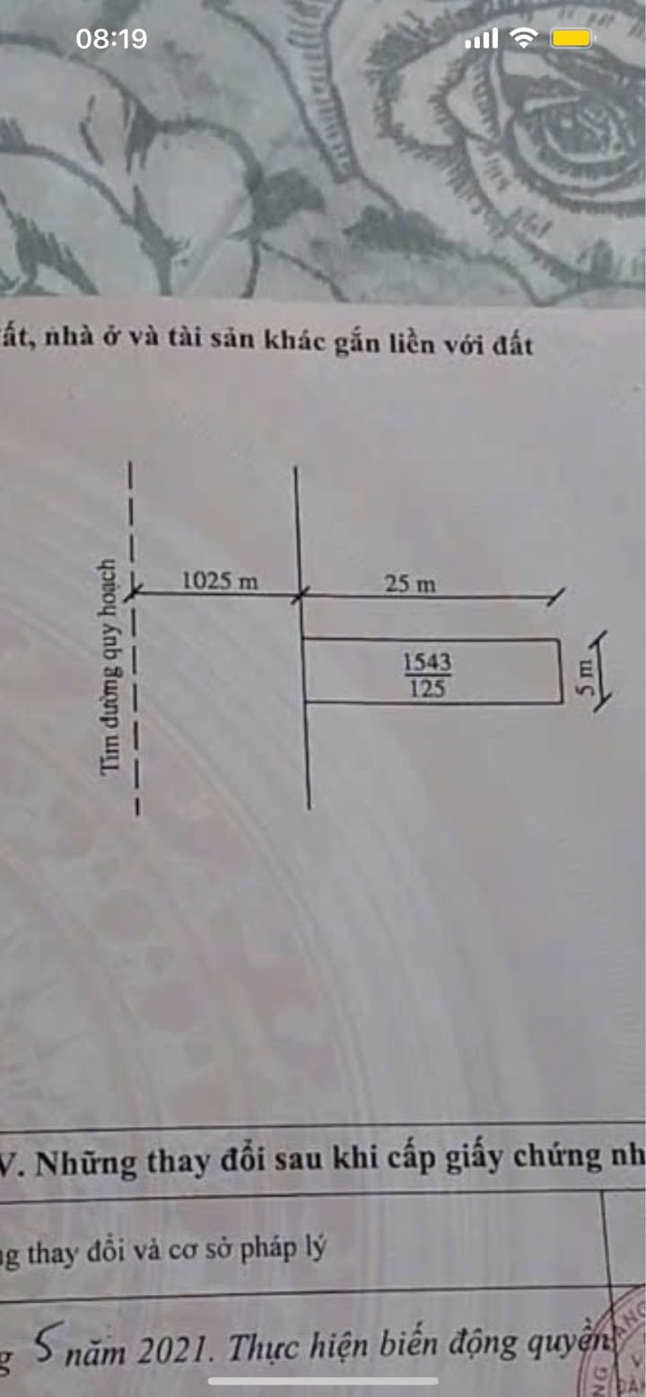 Đất nền Tân Phong, Thanh Hóa 125m² giá 1.6 tỷ - Vị trí đắc địa gần trung tâm