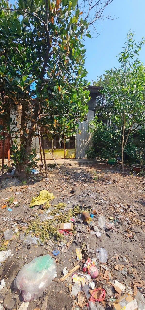 Xưởng 726m² tại Củ Chi giá chỉ 5.8 tỷ - Kinh doanh thuận lợi!