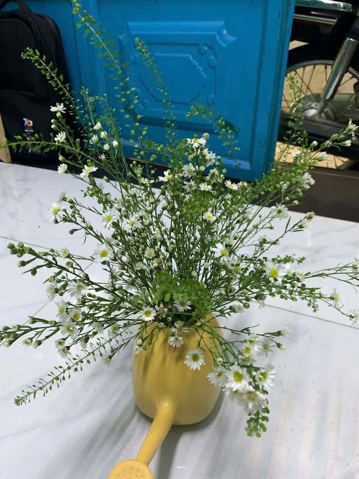 Nhà riêng Hóc Môn 88m² giá 4.6 tỷ - Sổ hồng chính chủ