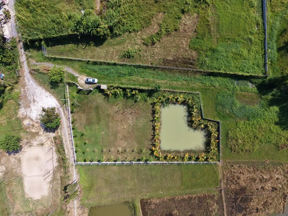 Đất vườn Củ Chi 1.534,5m² giá 2,9 tỷ - Tiện ích đầy đủ, phù hợp nghỉ dưỡng!