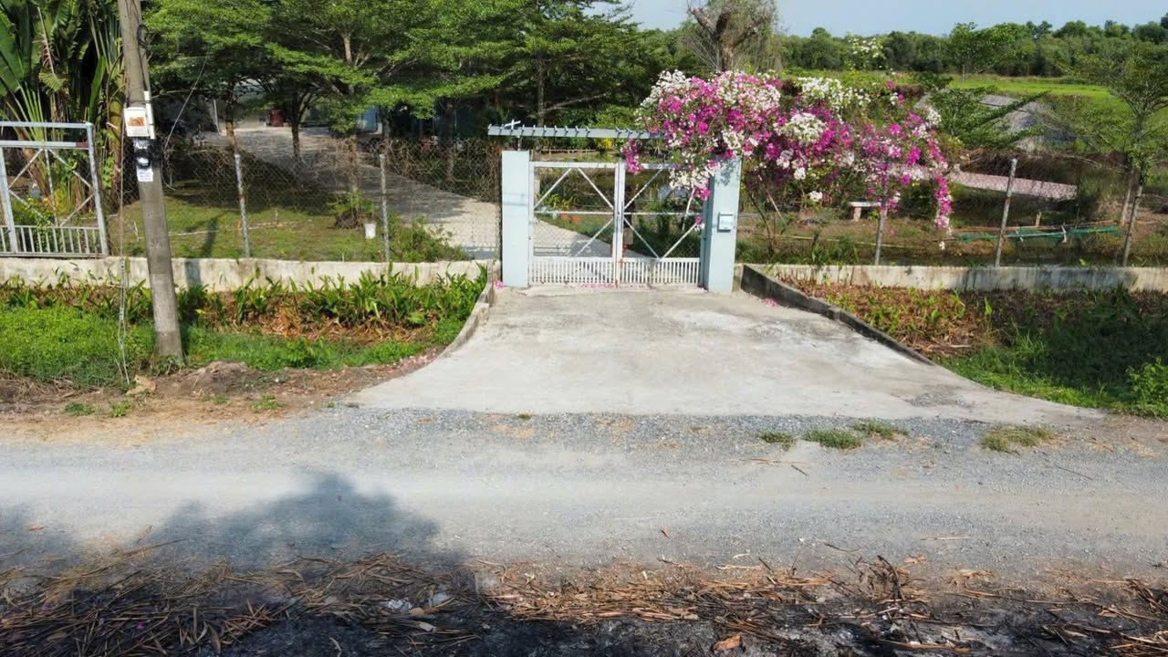 Farm Củ Chi 5200m² giá 9 tỷ - Đầu tư sinh lời, không khí trong lành!